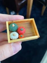 Load image into Gallery viewer, Pumpkin Patch Micro Dragon